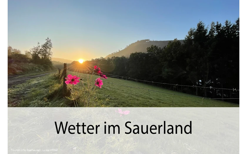 Wetter Wetter