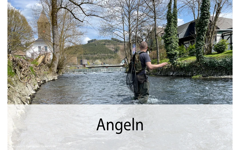Angeln Angeln