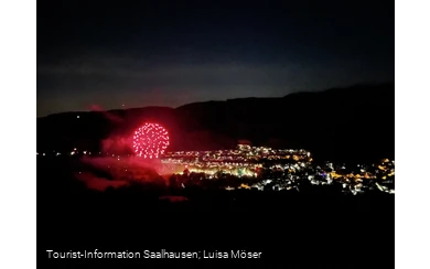 Stark im Park - Feuerwerk