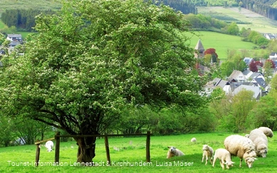 Blick auf Saalhausen, unterhalb des "Weißen Kreuzes"