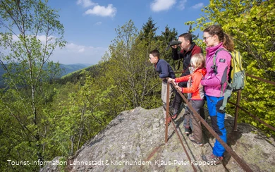 Wandern auf dem Rinsleyfelsen