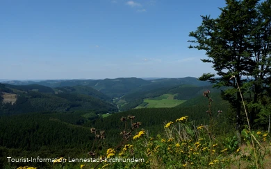 Wanderung Rund um den Härdler