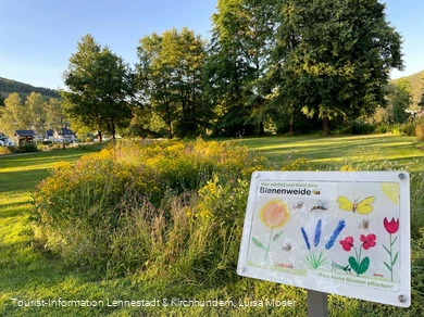 Bienenweide im Kurpark